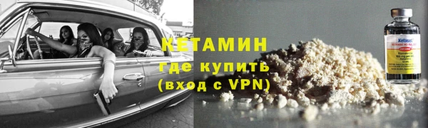 шишки Белокуриха
