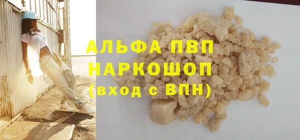 шишки Белокуриха