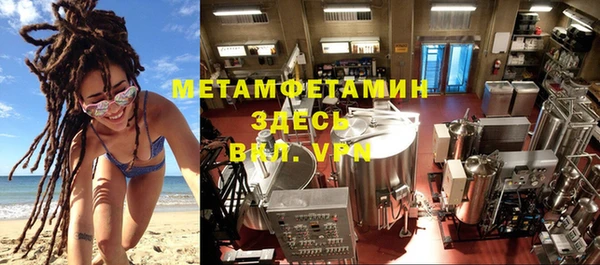 шишки Белокуриха