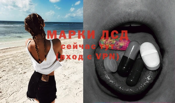 шишки Белокуриха