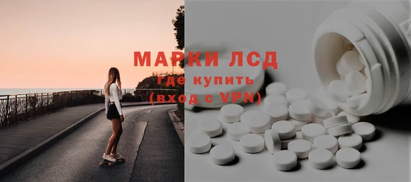 шишки Белокуриха
