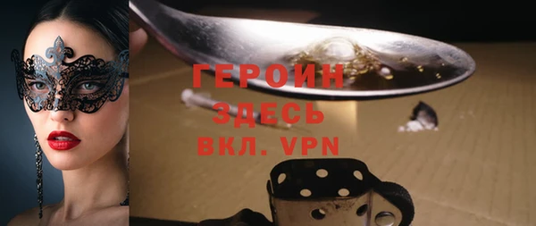 шишки Белокуриха
