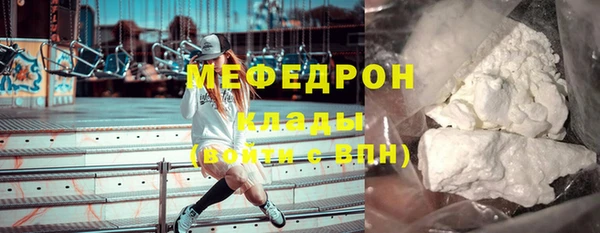 шишки Белокуриха