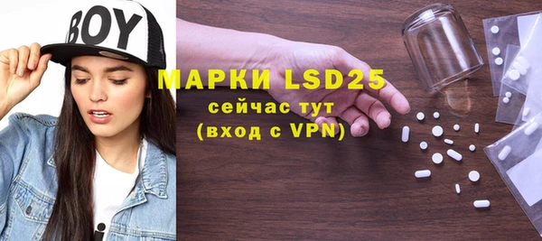 шишки Белокуриха
