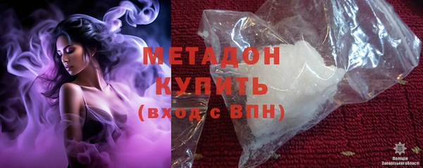 шишки Белокуриха