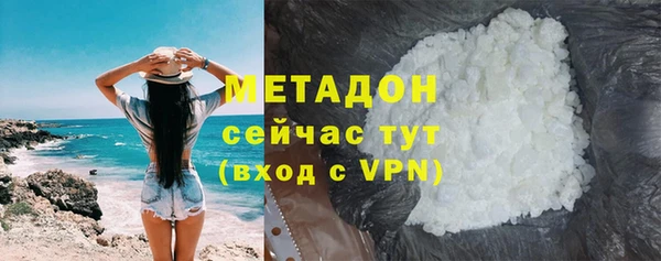 шишки Белокуриха