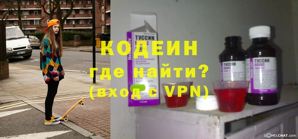 шишки Белокуриха