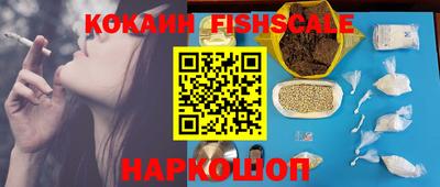 гашик Вязьма