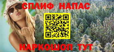 гашик Вязьма