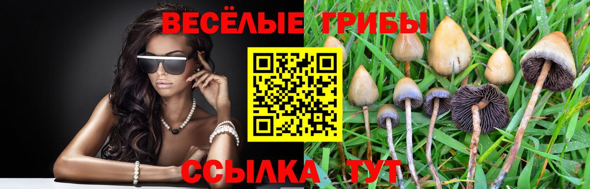 Псилоцибиновые грибы Cubensis  Галлюциногенные грибы мухоморы  Вход с VPN  Великий Устюг 