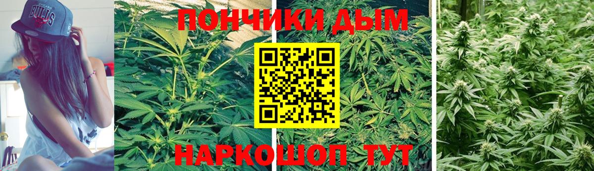 Конопля SATIVA & INDICA Великий Устюг